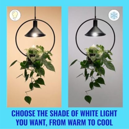 WiZ Ultra Efficient Smart LED Lamp, E27, Energy Efficiency Class A, Energy Saving, Automation and Smart Control via App/Voice via WLAN  Amazon.co.uk: Lighting - Image 9